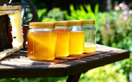 В Башкортостане стал приоритетным проект производства медовой продукции за 3,7 млрд рублей