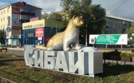 Депутаты и предприниматели обсудили в Сибае проблемы российского бизнеса 