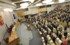 Госдума в первом чтении одобрила поправки к федеральному бюджету на 2017 год