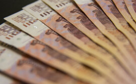 В Башкирии за 8 лет фермеры получили 510 млн рублей страховых выплат