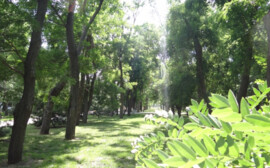 Туристический комплекс "Эко-парк" в Башкирии запустят в 2027 году
