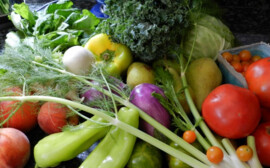 Под Уфой за 1 млрд рублей построят логистический центр продуктов питания «БашФуд»