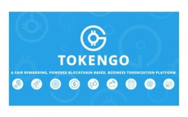 Возможности блокчейн-платформы TokenGO
