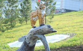 Вдоль главной улицы Уфы установили звериные скульптуры
