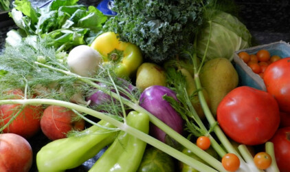 Под Уфой за 1 млрд рублей построят логистический центр продуктов питания «БашФуд»