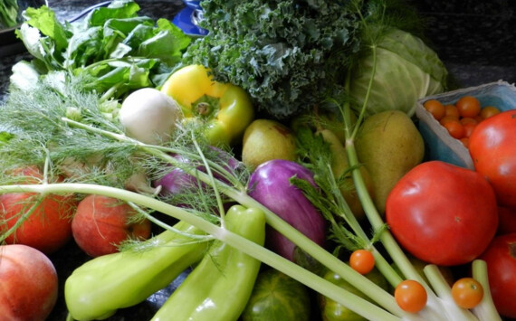 Под Уфой за 1 млрд рублей построят логистический центр продуктов питания «БашФуд»