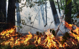 Радий Хабиров: борьба с пожарами в первом квартале проиграна