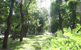 Туристический комплекс "Эко-парк" в Башкирии запустят в 2027 году