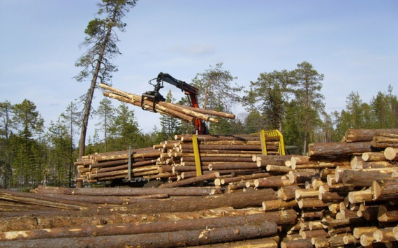 Лесопромышленные предприятия Башкирии могут получить разные виды господдержки
