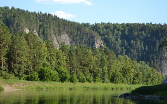 На программу сохранения лесов Башкирии предусмотрены 2,2 млрд рублей