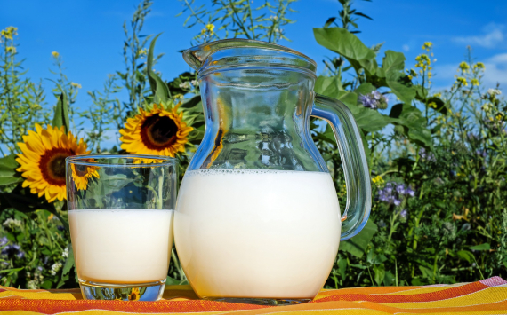 «Молочная кухня» расширит маршрут ещё на два села Башкортостана
