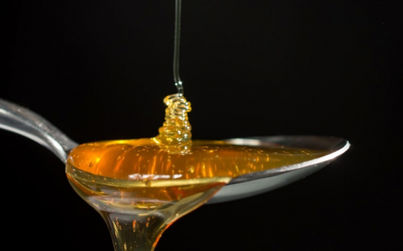 Башкирия экспортировала свой мед во Францию