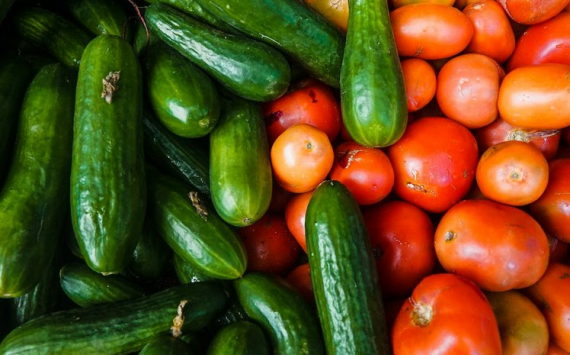 В Башкирии в комплекс по выращиванию томатов и огурцов вложат более 350 млн рублей