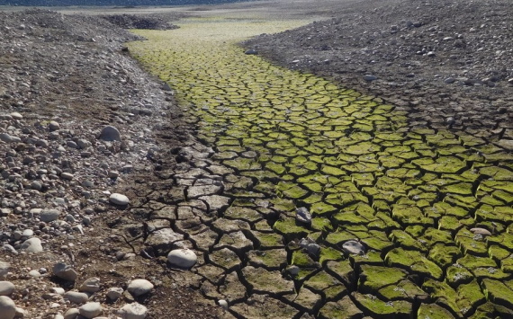 В Башкирии аграрии оценили ущерб от засухи в 1 млрд рублей