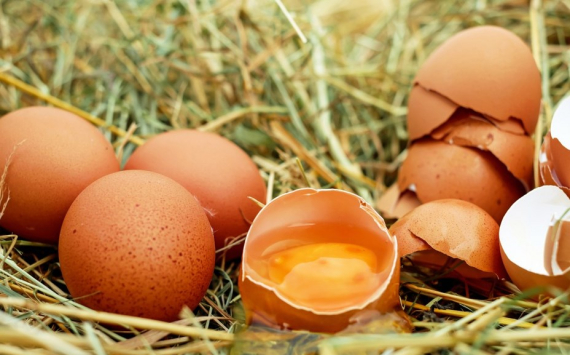 В Башкирии зафиксировали очередное повышение цен на яйца
